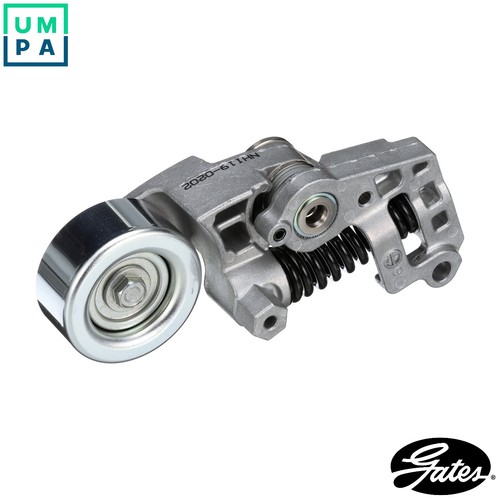 Belt tensioner vribbed - vribbed,