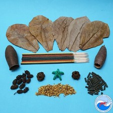 Shrimp starter kit - shrimp,