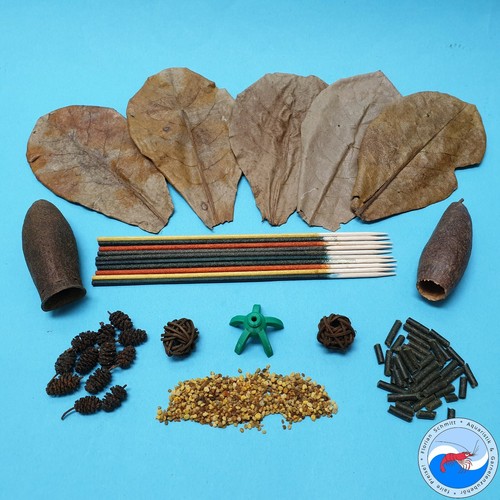 Shrimp starter kit - shrimp,