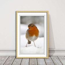 picture frame wall art robin