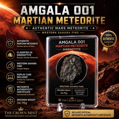 Amgala 001 martian meteorite - 001,