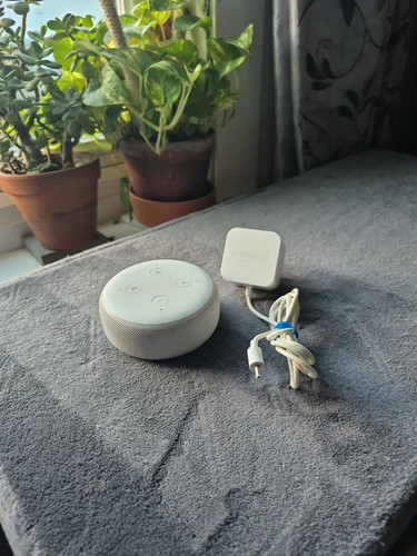 Amazon alexa echo - alexa,