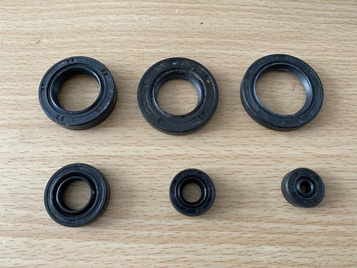 Suzuki 100 engine oil seal - gp,