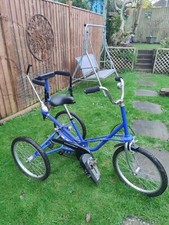   Blue Tomcat trike for child