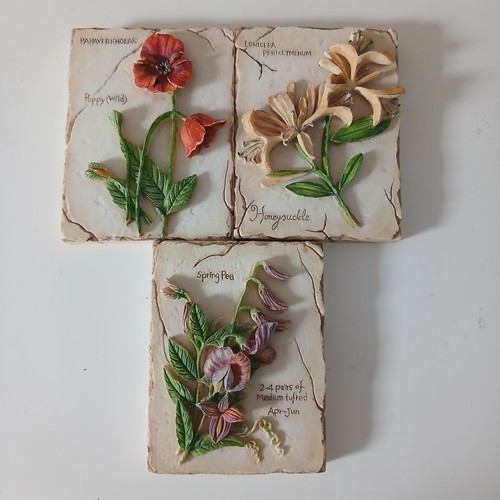 Vintage botanical wall - 3d,