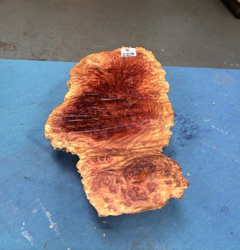 Red mallee burl burr - burl,
