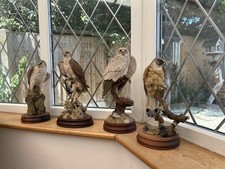 4 Large mounted birds of prey by Sherratt & Simpson