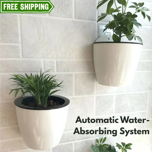 Wall mounted self - wall, watering