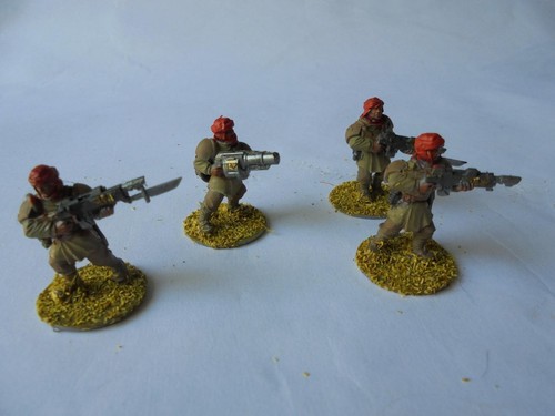 Tallarn imperial guard - guard, 4