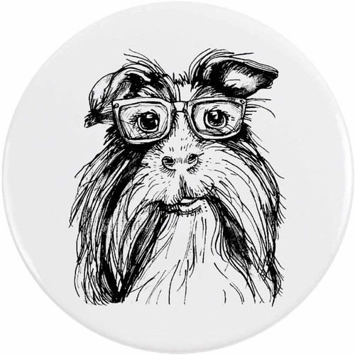 Guinea pig wearing glasses - 'guinea,