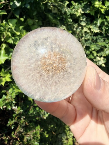 Solid acrylic dandelion sphere - solid,