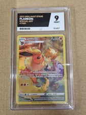 Pokemon - Flareon Special Art