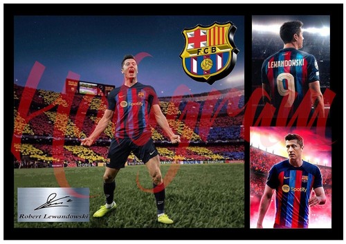 Signed barcelona player robert - player,