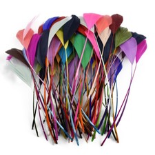 Long Stripped Fascinator Feathers,  for Craft and Millinery, 12-18cm multicolour