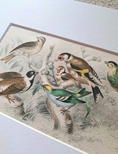 Original antique lithograph - original,
