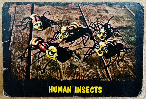 Outer limits human insect - -,