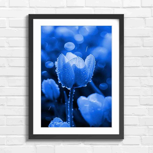 Dewy orange tulip floral - floral, close