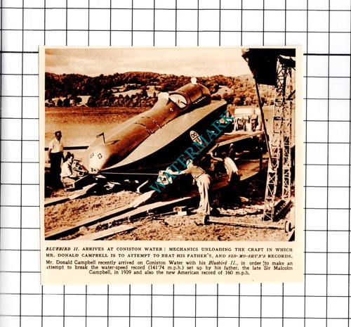 Donald campbell bluebird - donald,