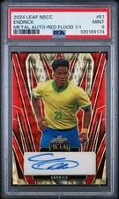 Leaf NSCC Exclusive Endrick