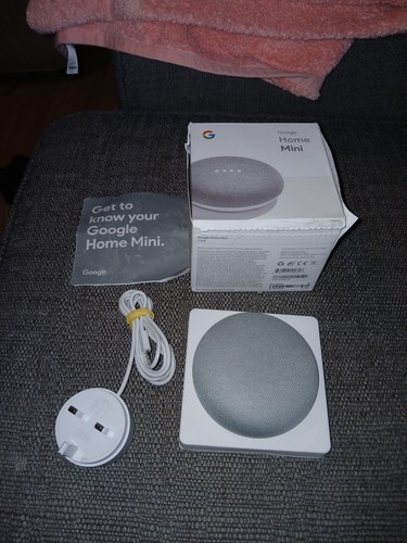Google nest mini - nest, model