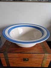  TG Green Cornishware blue
