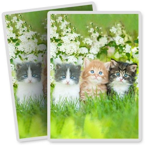 Vinyl stickers 7x10cm - 7x10cm,