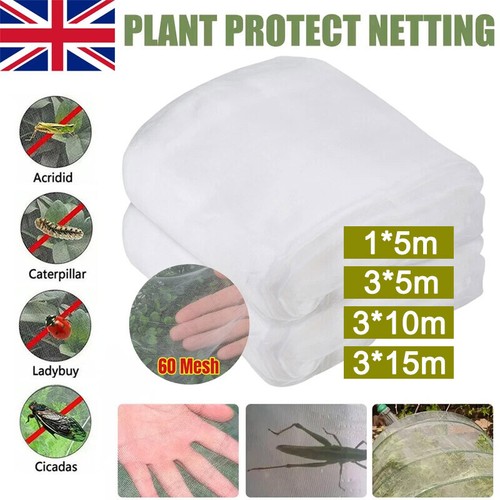 Garden protect netting - garden,