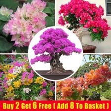 1 Pack 50 Mixed Color