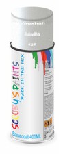 Aerosol Spray Paint For