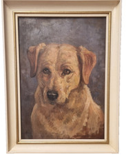 Labrador Dog  Oil On Board  Oil  Painting BY JOHN MURRAY THOMSON RSA,RSW, SSA