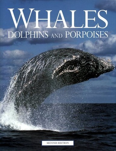 Whales dolphins and - whales,, dolphins,