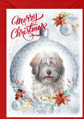Tibetan terrier dog x - dog,