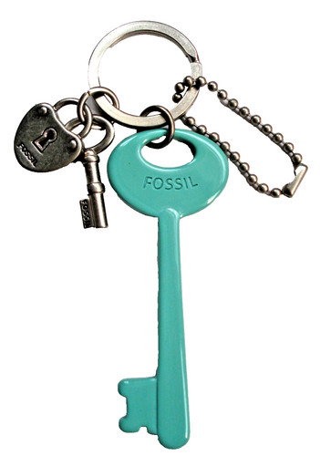Genuine fossil green plastic - green,