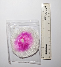 Geiger Counter Check Source