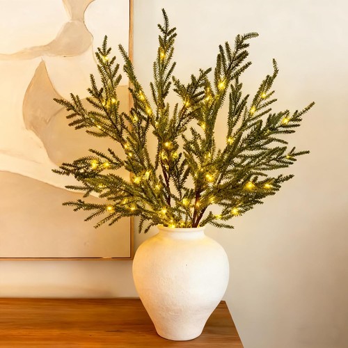 Christmas norfolk pine - christmas,