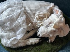 Stillborn lamb sleeping baby - lamb,