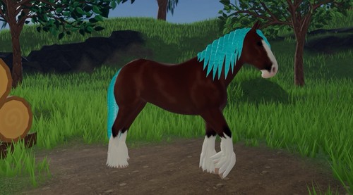 Wild horse island clydesdale - wild,