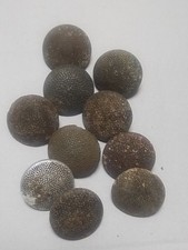 German WW2 Battlefield Relic