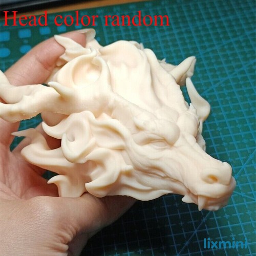 Scale dragon animal head - scale,