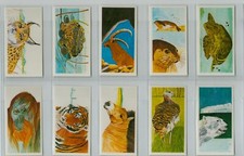Brooke Bond. RE-ISSUE. A full