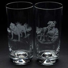 English Bulldog Dog Highball