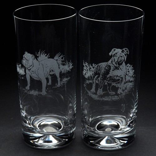 English bulldog dog highball - english,