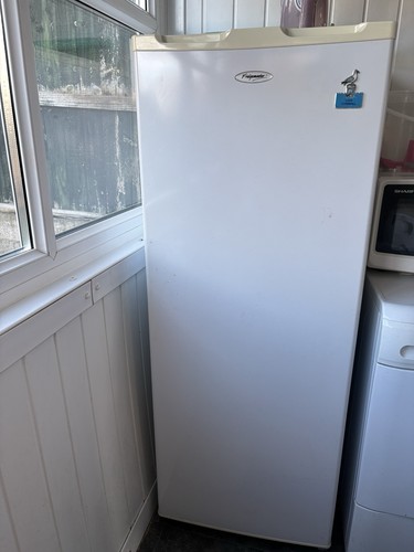 Freestanding tall freezer - freestanding,