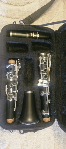 Clarinet with hard case - with,