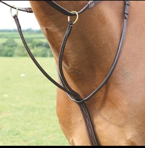 Shires salisbury running - shires,