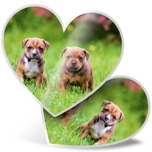 Heart stickers cm - stickers, 10