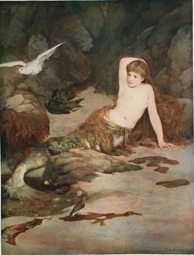 The mermaid kennedy - mermaid, c