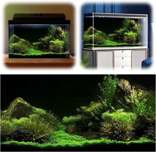 Fish tank background - tank, aquarium