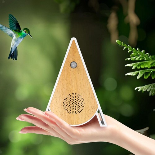 Bird chirping sound box - sound,