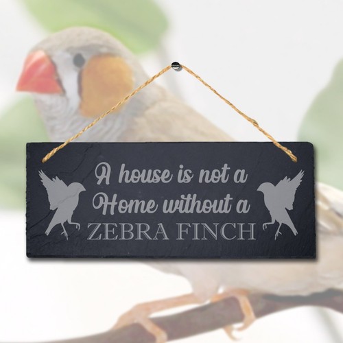 House not home without - house,